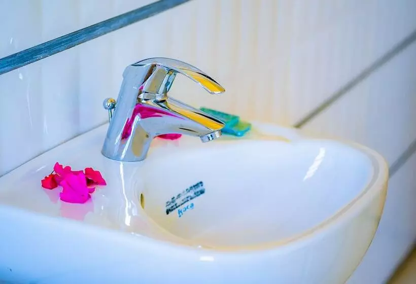 پانسیون Cambria