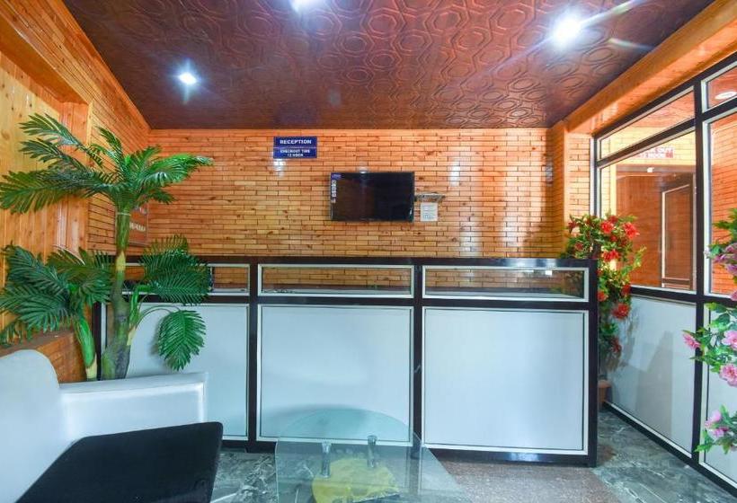 Hotel Capital O 66228  Sheeshnag