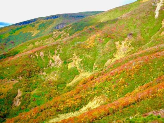 ריוקאן Yamanoshou