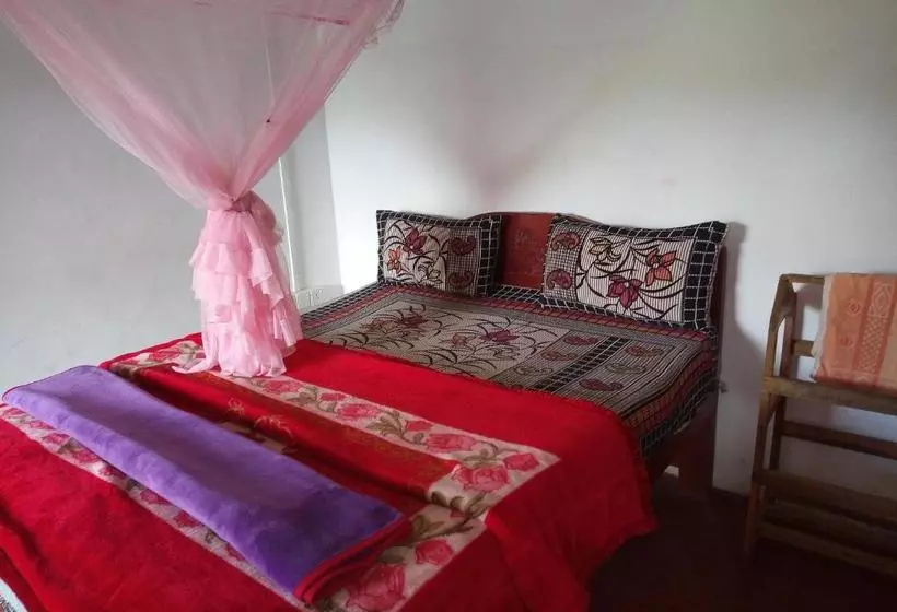 ベッドアンドブレックファースト Kavishka Guest House