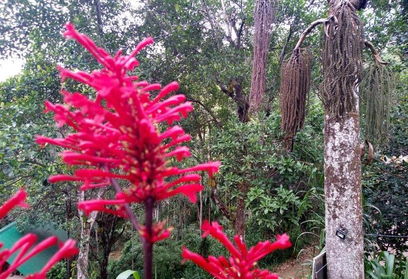 Nocleg ze śniadaniem Kavishka Guest House