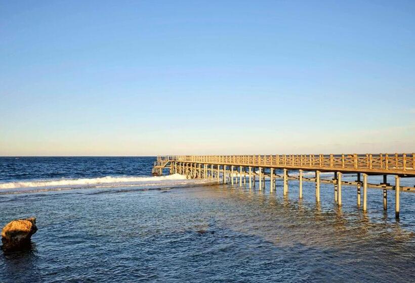 Отель Steigenberger Resort Alaya Marsa Alam   Red Sea   Adults Friendly 16 Years Plus