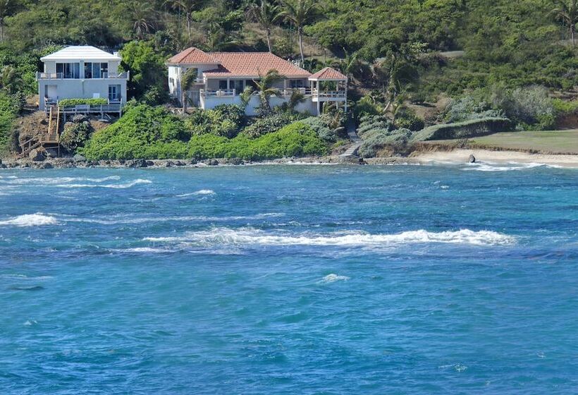 Beach House Younes By Island Properties Online