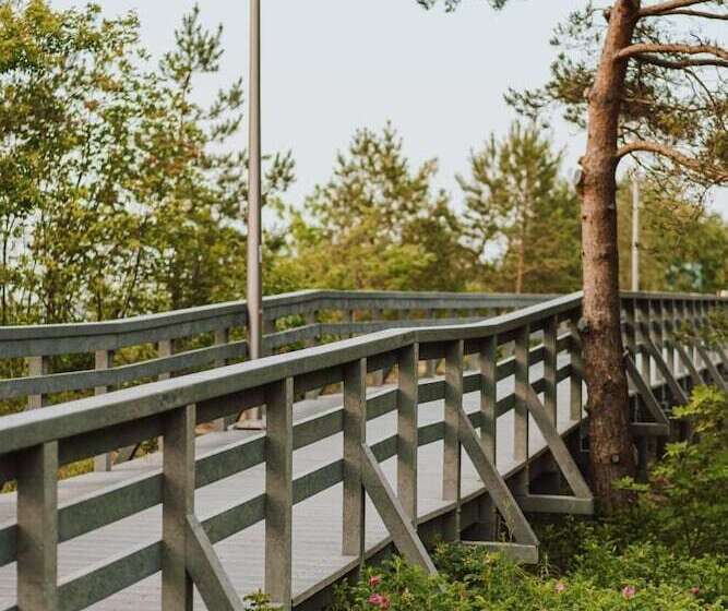 פנסיון Willa Rybitwa