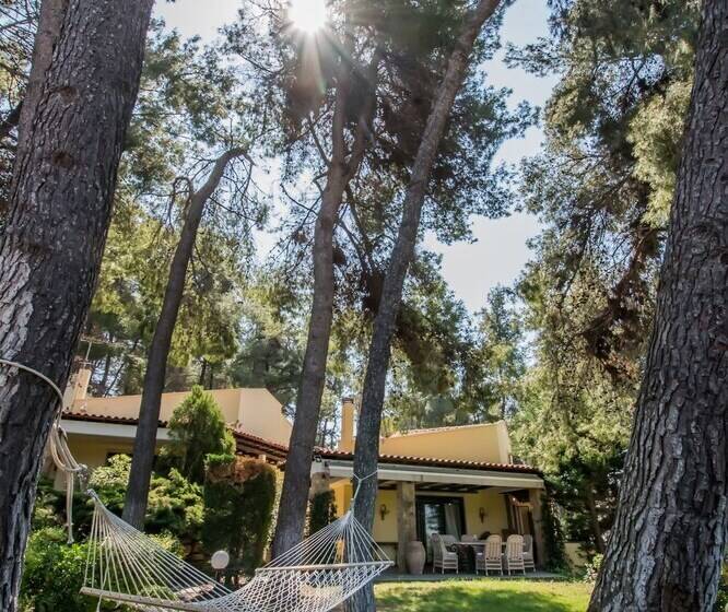 Calypso By Halu! Sani Villas