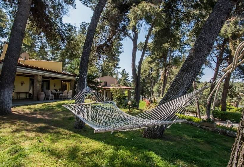 Calypso By Halu! Sani Villas