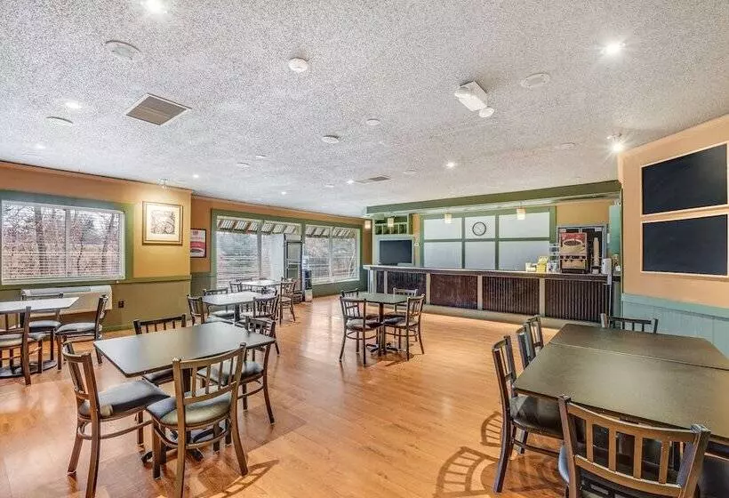 Hotelli Econo Lodge Whitehall Near Michigan S Adventure