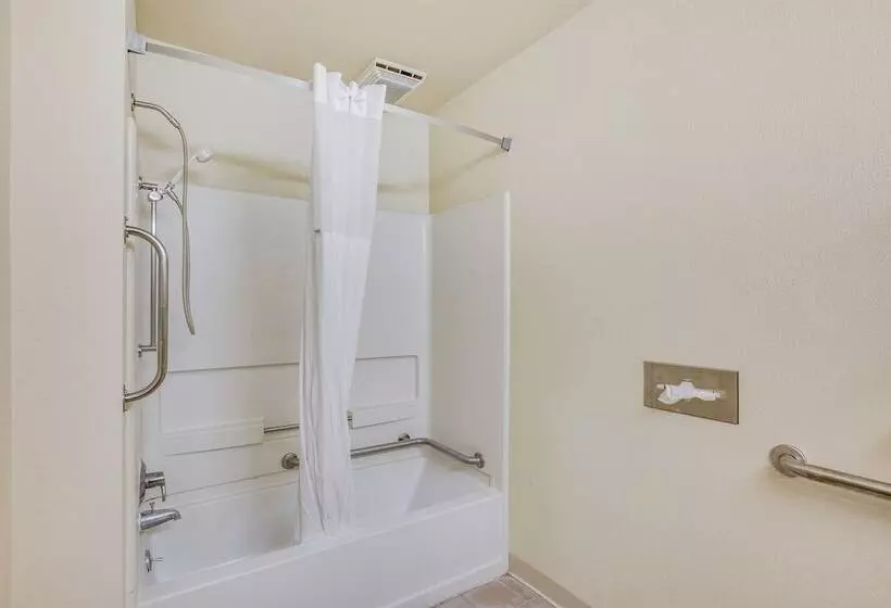 Hotelli Econo Lodge Whitehall Near Michigan S Adventure