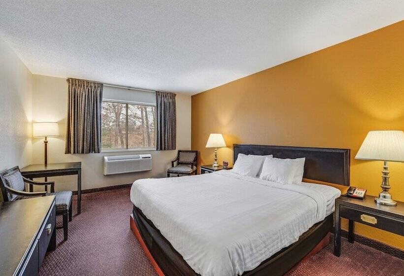 Отель Econo Lodge Whitehall Near Michigan S Adventure