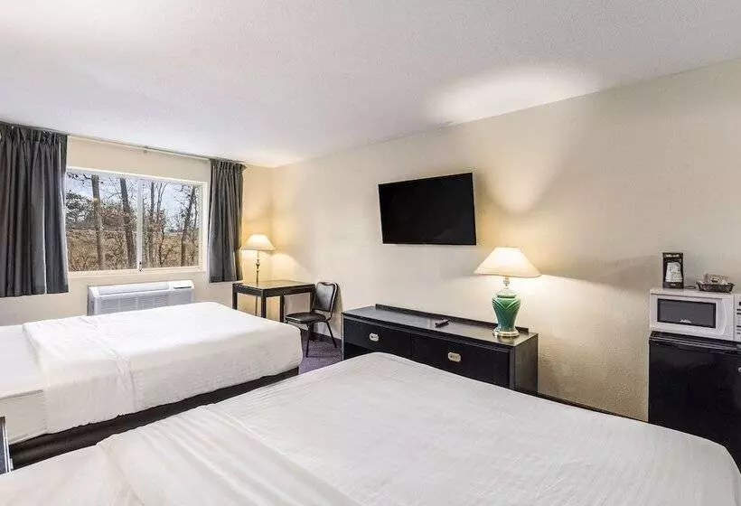 Hotelli Econo Lodge Whitehall Near Michigan S Adventure