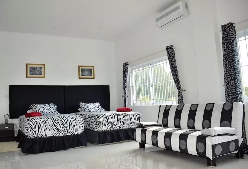 پانسیون The Olive Tree