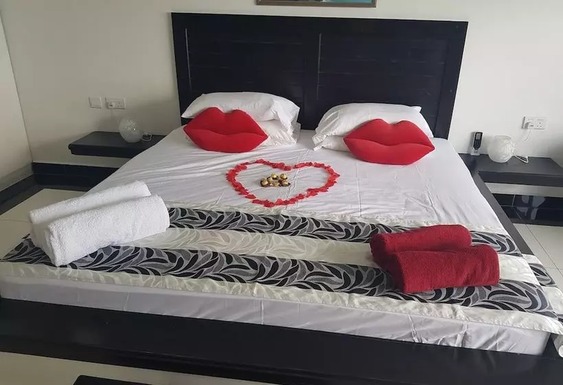 پانسیون The Olive Tree