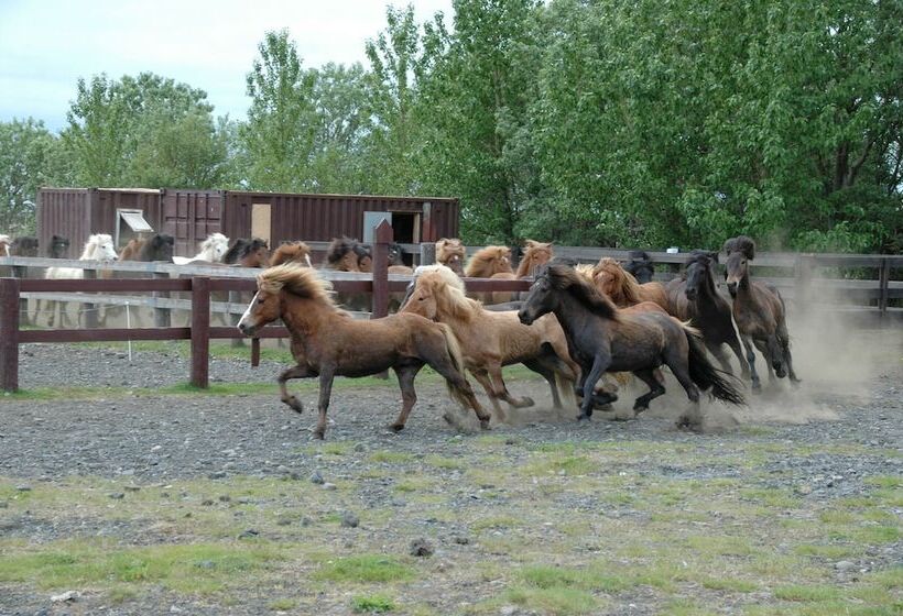 Smáratún Farm Eco Lodges