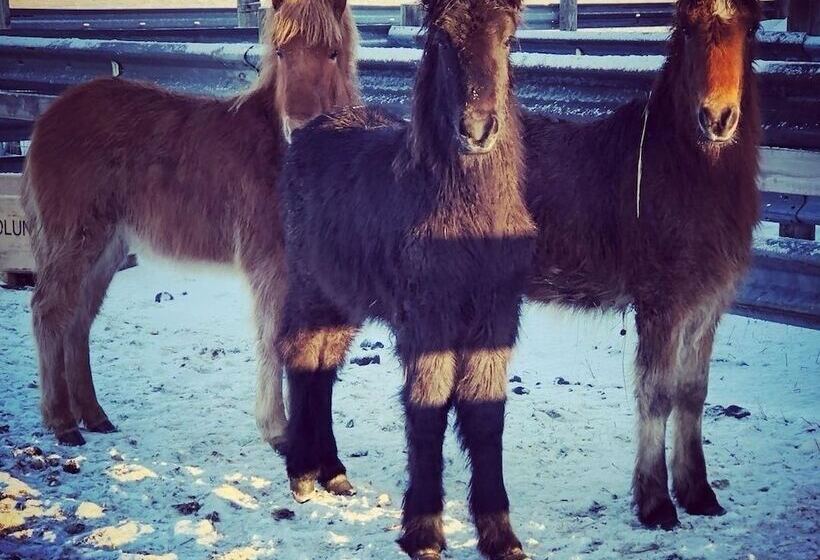 Smáratún Farm Eco Lodges
