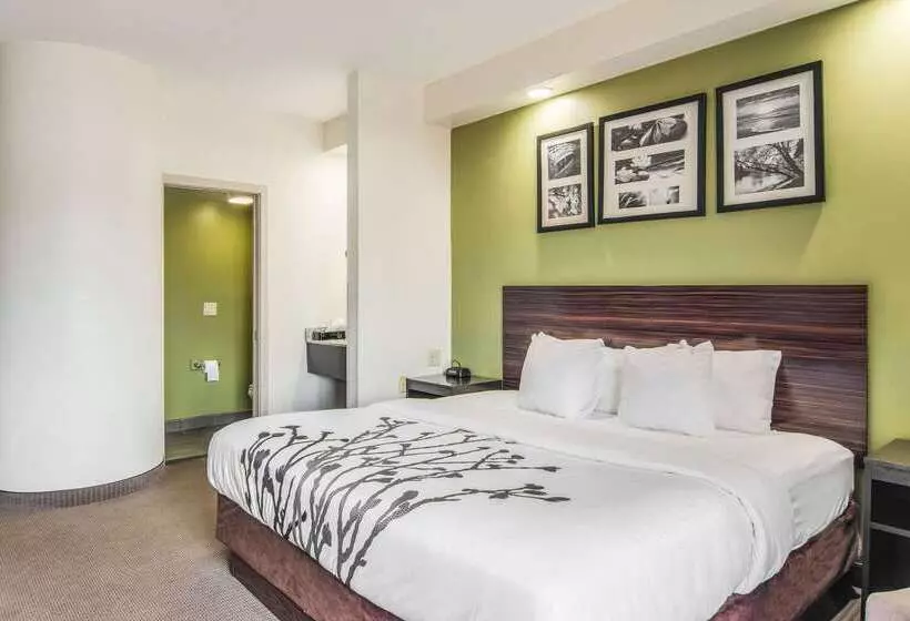 호텔 Sleep Inn Austintown Youngstown, West