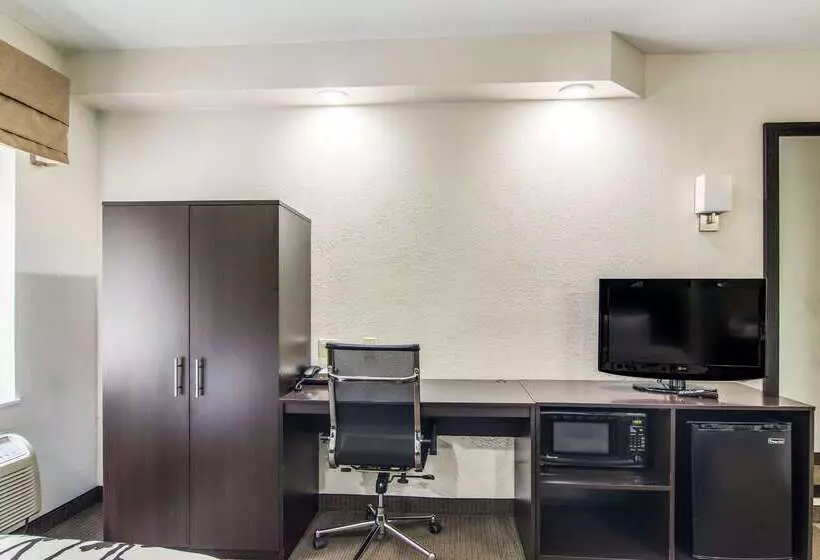 호텔 Sleep Inn Austintown Youngstown, West