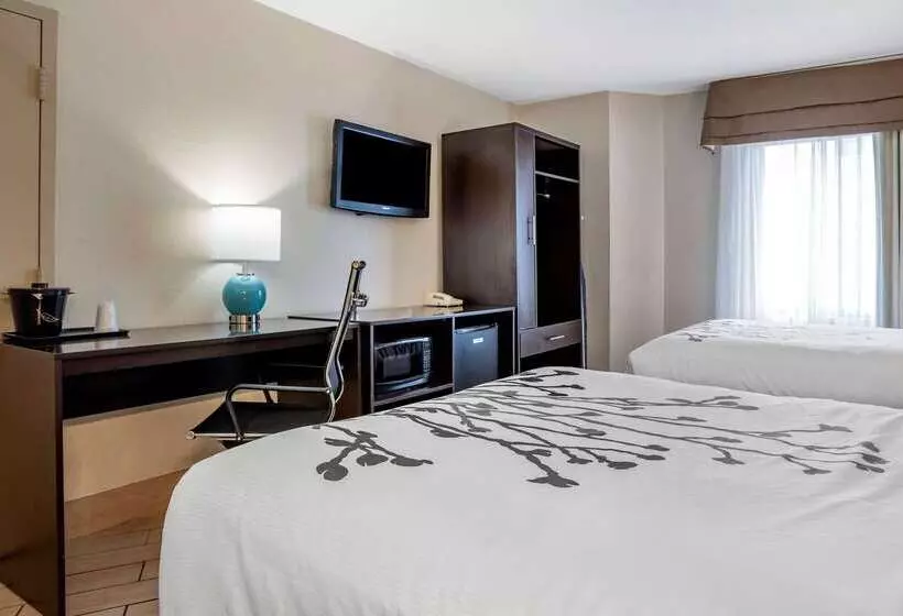 호텔 Sleep Inn Destin Near Miramar Beach