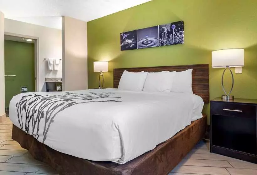 호텔 Sleep Inn Destin Near Miramar Beach