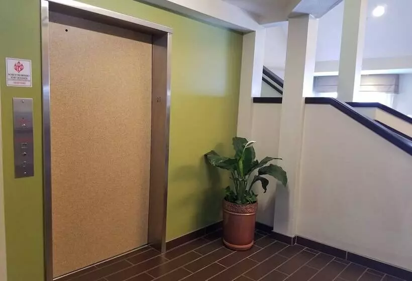 호텔 Sleep Inn Destin Near Miramar Beach