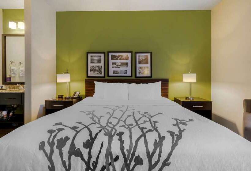 בית מלון כפרי Sleep Inn Henderson Evansville South