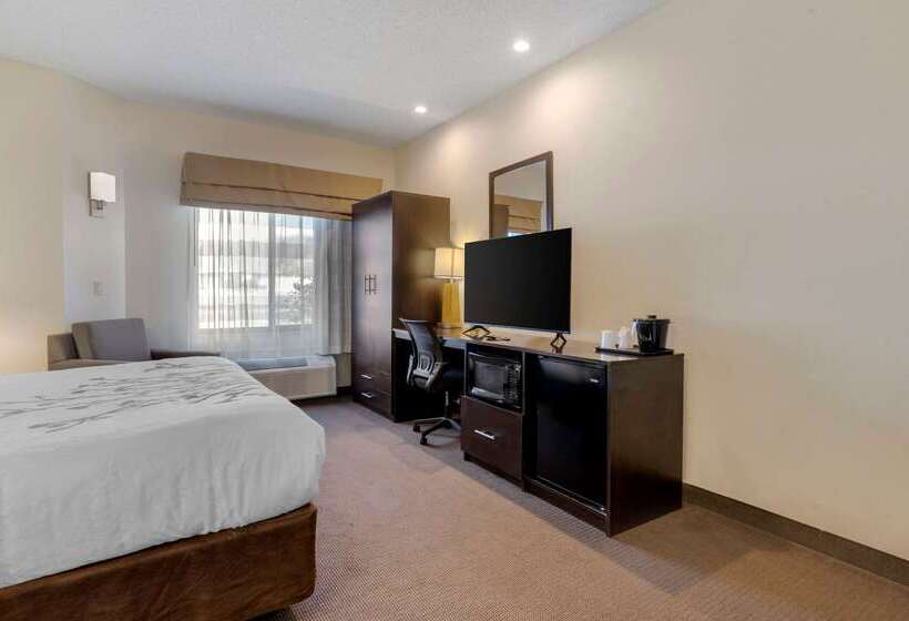 בית מלון כפרי Sleep Inn Henderson Evansville South