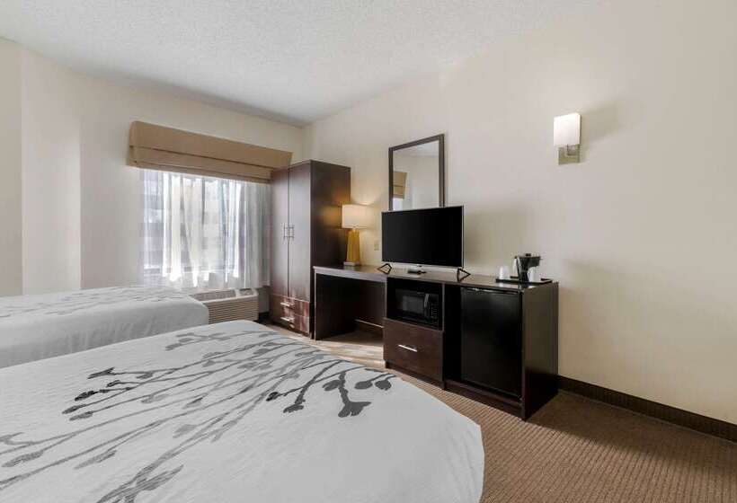 בית מלון כפרי Sleep Inn Henderson Evansville South