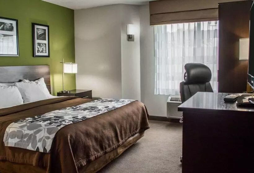 ホテル Sleep Inn Historic