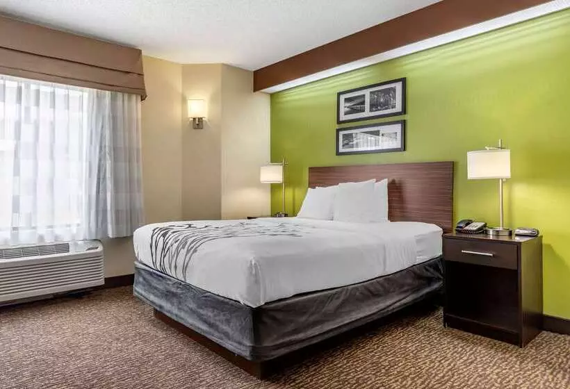 호텔 Sleep Inn Matthews Charlotte