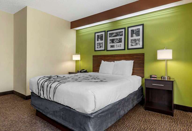 ホテル Sleep Inn Matthews Charlotte