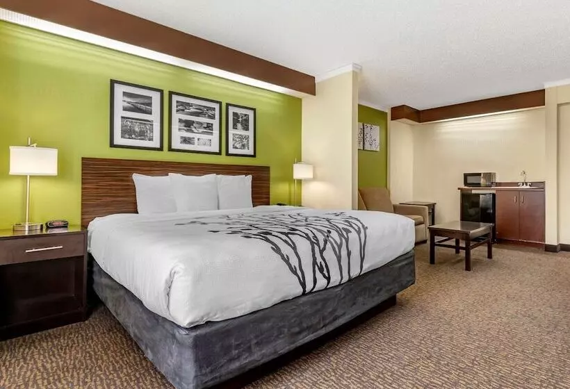 호텔 Sleep Inn Matthews Charlotte