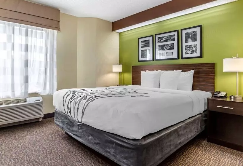 호텔 Sleep Inn Matthews Charlotte