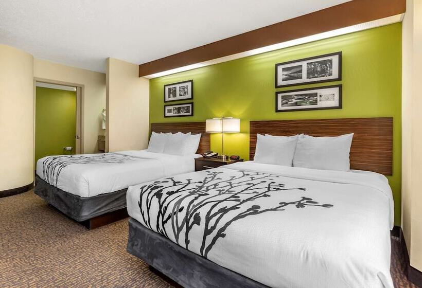 ホテル Sleep Inn Matthews Charlotte
