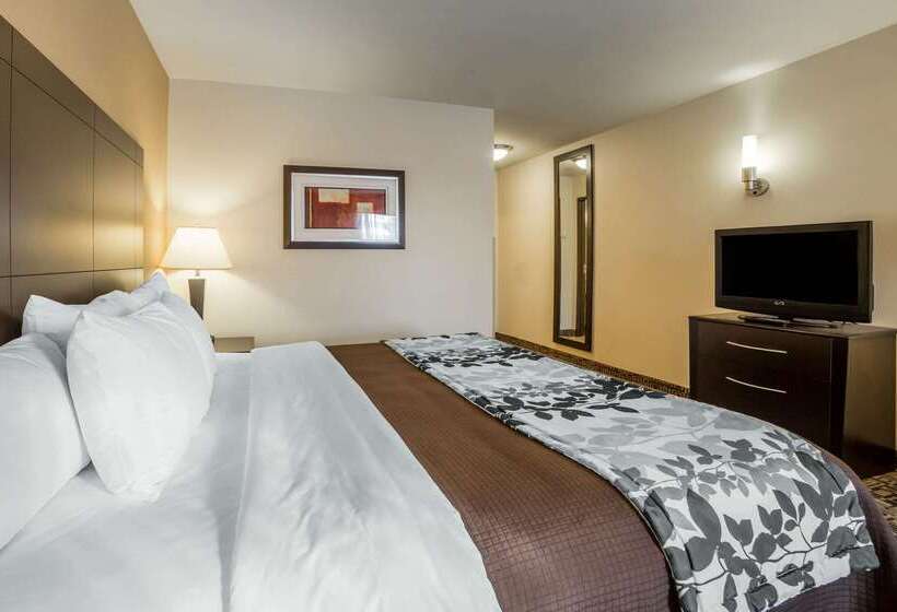 בית מלון כפרי Sleep Inn Provo Near University