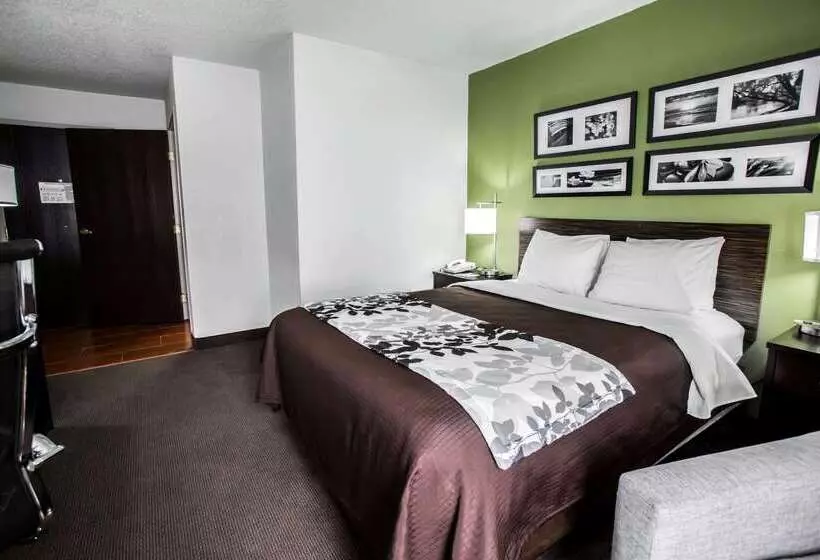 酒店 Sleep Inn Rockford I 90