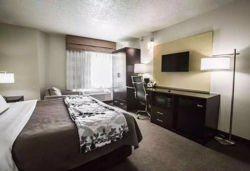 酒店 Sleep Inn Rockford I 90