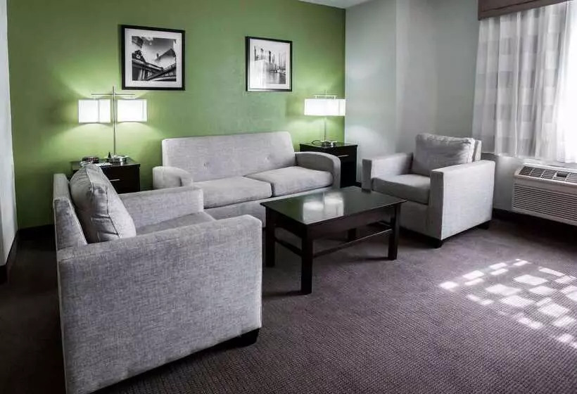 酒店 Sleep Inn Rockford I 90