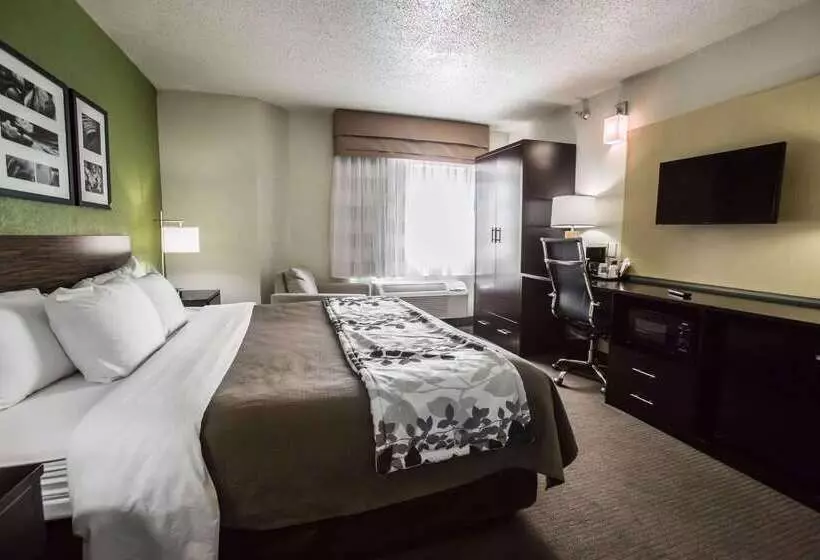 酒店 Sleep Inn Rockford I 90