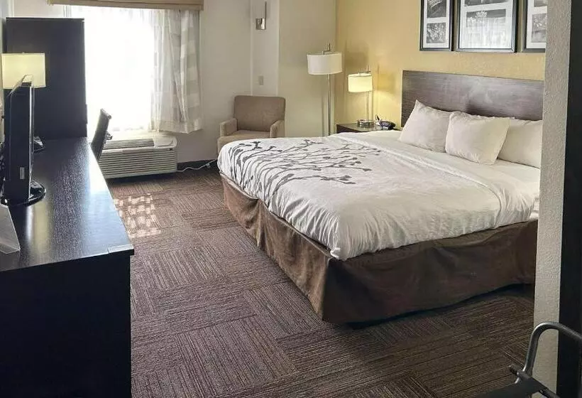 호텔 Sleep Inn Wilson Near I 95