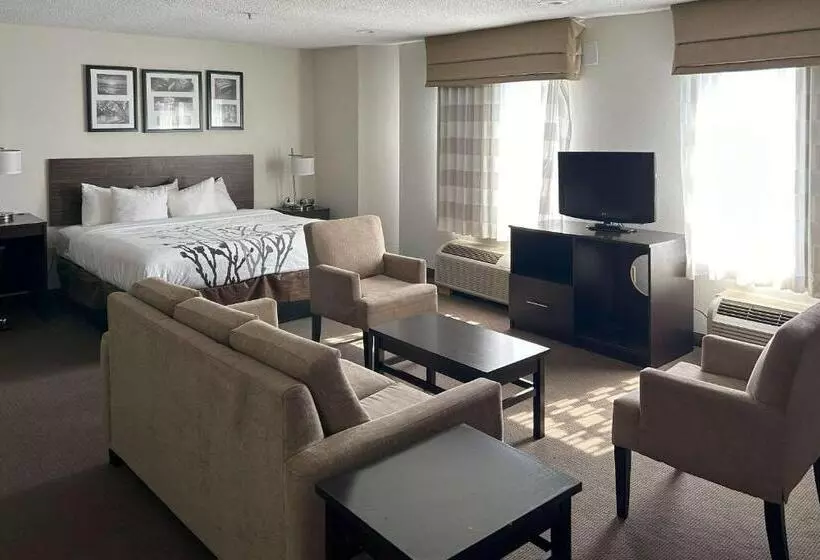 호텔 Sleep Inn Wilson Near I 95