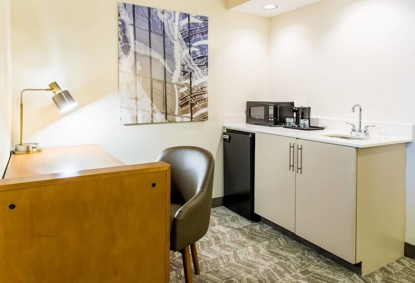 酒店 Springhill Suites By Marriott Houston Brookhollow