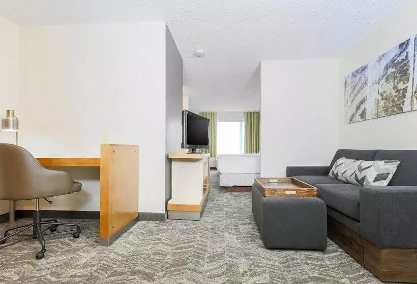 酒店 Springhill Suites By Marriott Houston Brookhollow