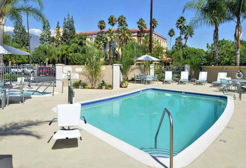 ホテル Springhill Suites Pasadena Arcadia