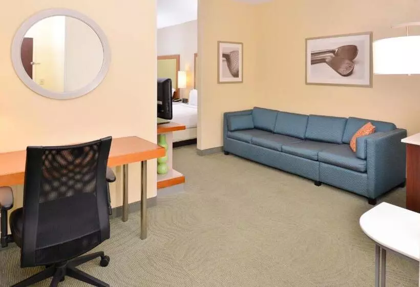 هتل Springhill Suites Pinehurst Southern Pines