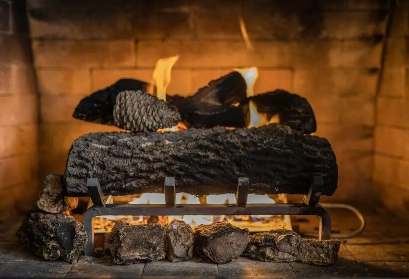 Отель Stage Coach Lodge