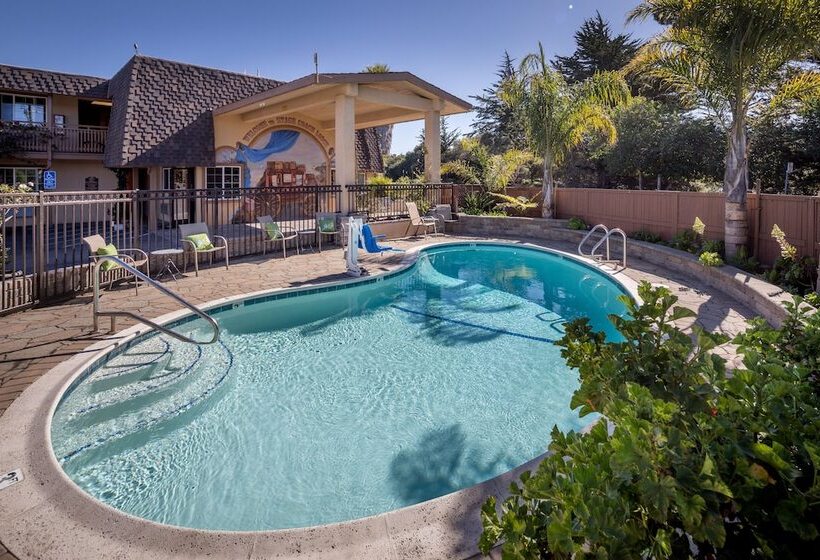 هتل Stage Coach Lodge