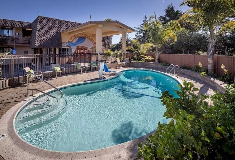 Отель Stage Coach Lodge