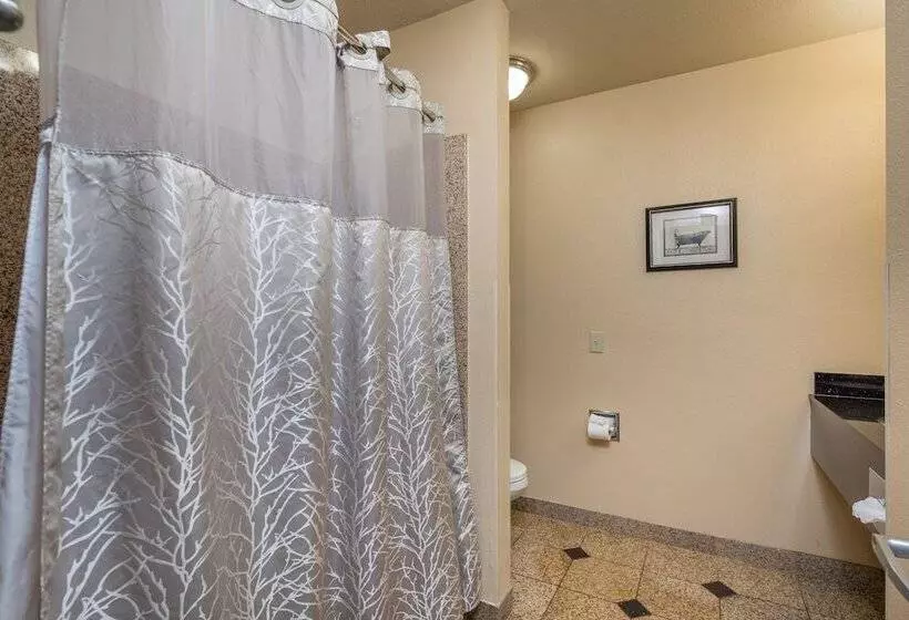 Отель Stage Coach Lodge