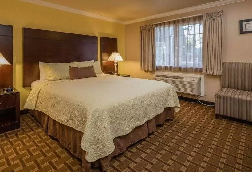 Отель Stage Coach Lodge