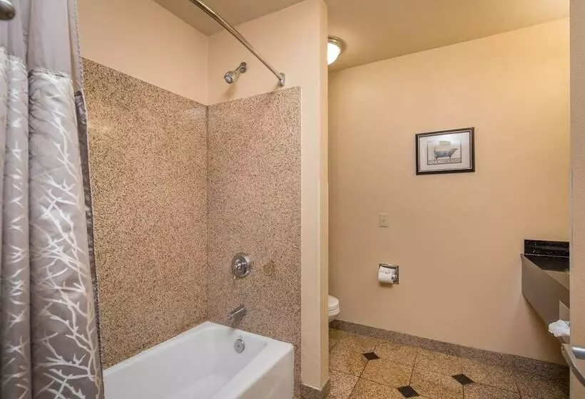 Отель Stage Coach Lodge