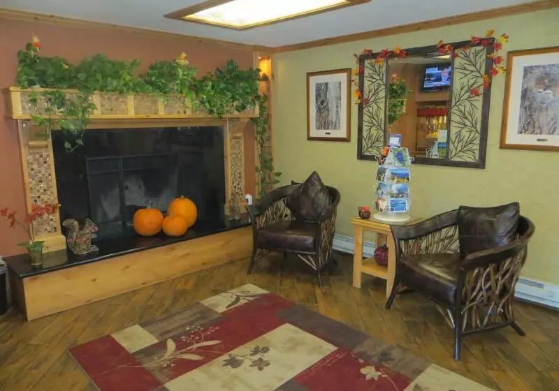 酒店 Stardust Lodge